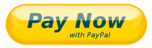 PayNowButton